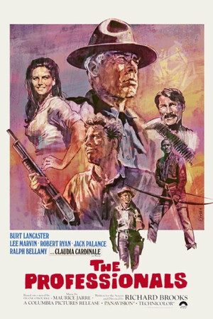 Poster for The Professionals